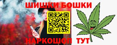 гидра Кингисепп