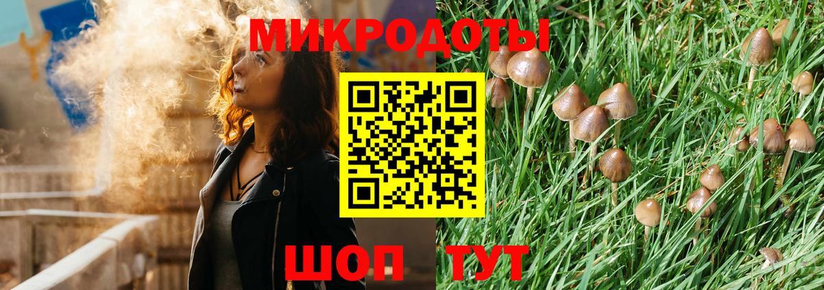 Галлюциногенные грибы Cubensis Унеча