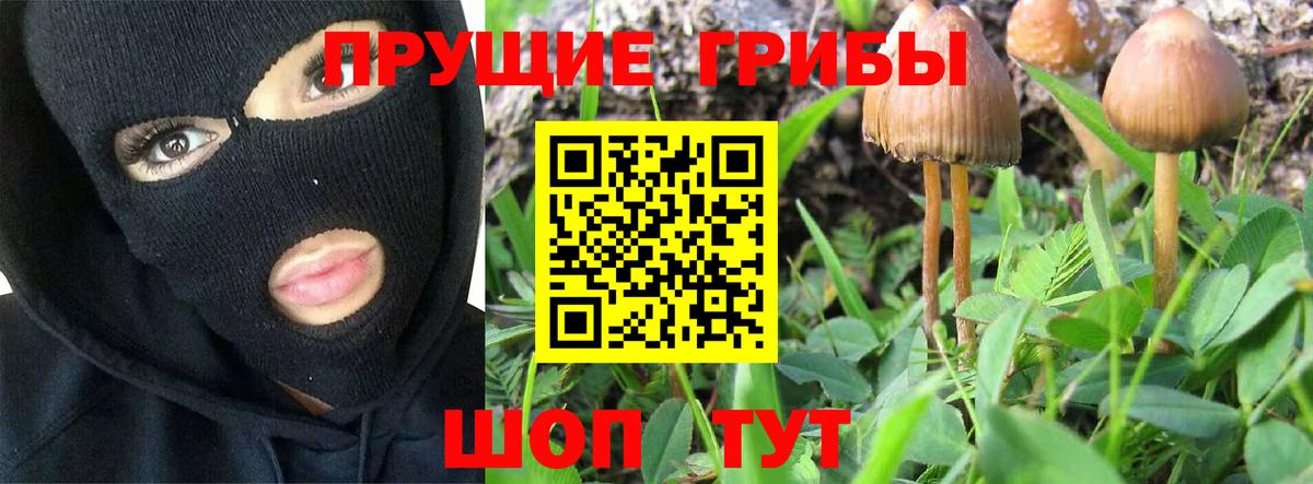 Галлюциногенные грибы Psilocybine cubensis  Вход с VPN  Унеча 