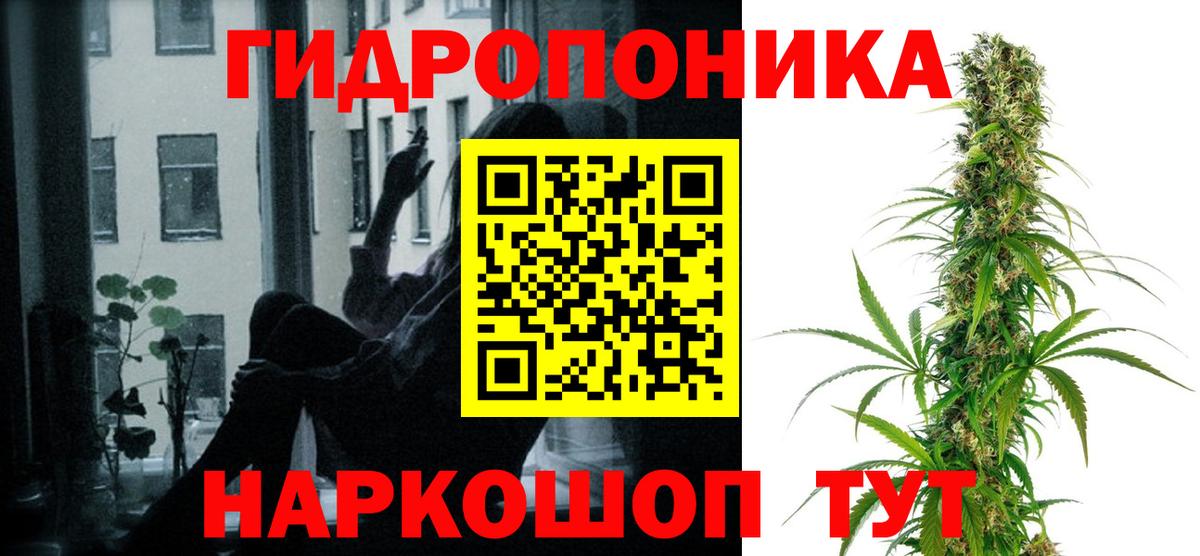 Шишки марихуана планчик Унеча